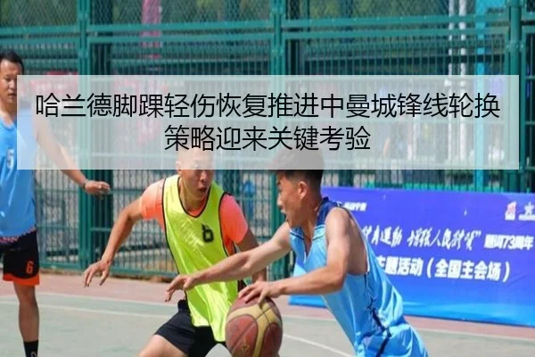 img_1780496776271_44_1_544.jpg